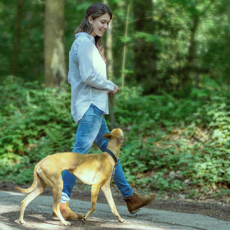 Hundeschule und Verhaltenstraining mit Tierärztin Zoe Schneider, ganzheitliche Tierarztpraxis